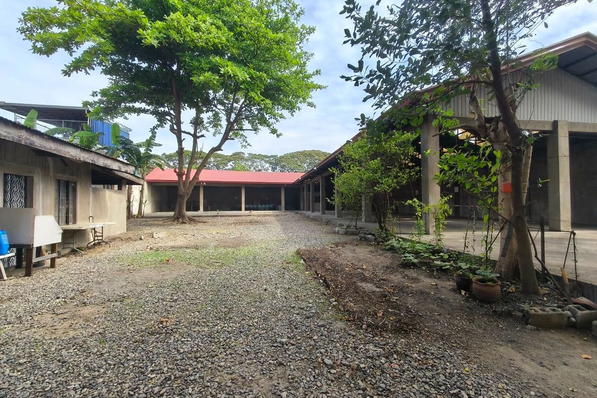 Land for Sale in Bayaoas, Urdaneta, Pangasinan
