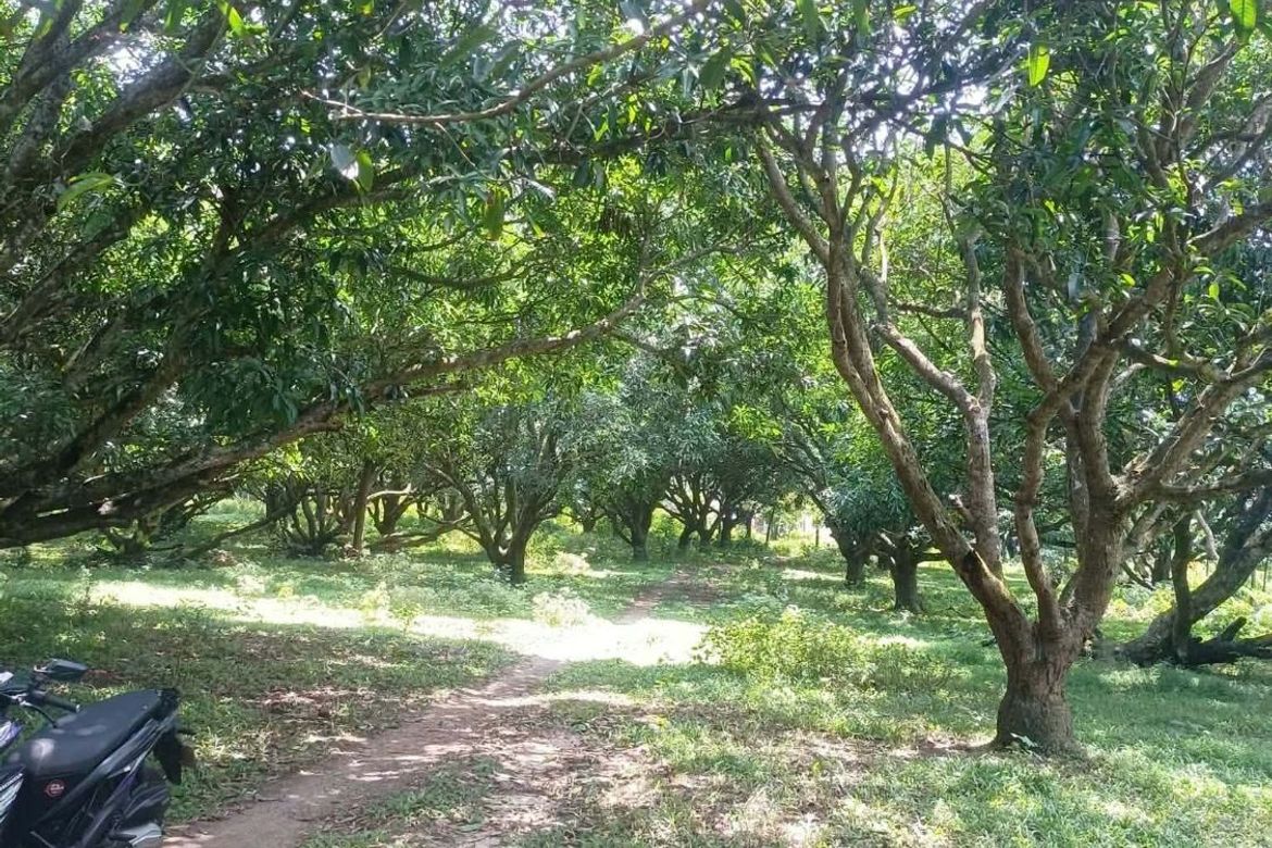Land for Sale in Bayawang, Rosario, Batangas – photo 2