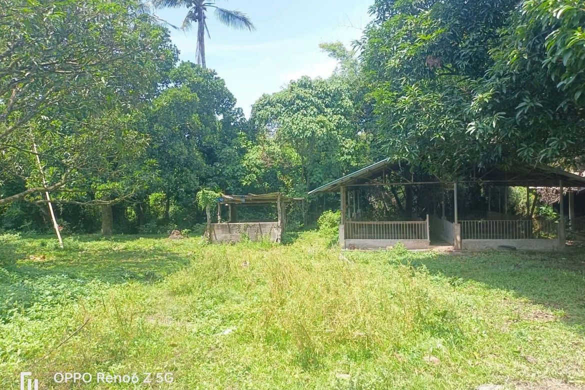 Land for Sale in Bayawang, Rosario, Batangas – photo 6