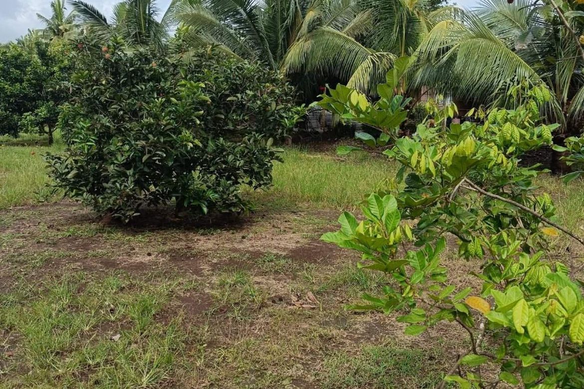 Land for Sale in Bayawang, Rosario, Batangas – photo 4