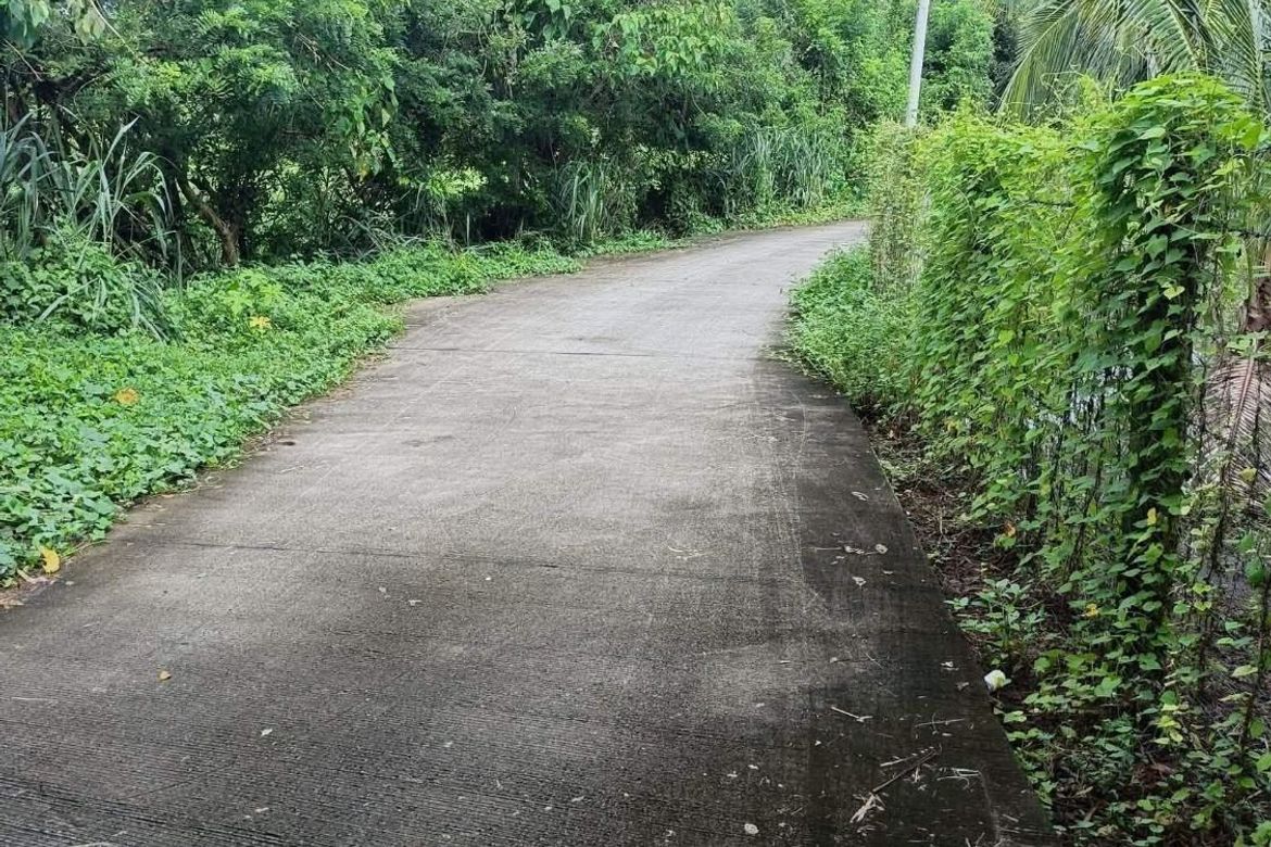 Land for Sale in Bayawang, Rosario, Batangas – photo 7