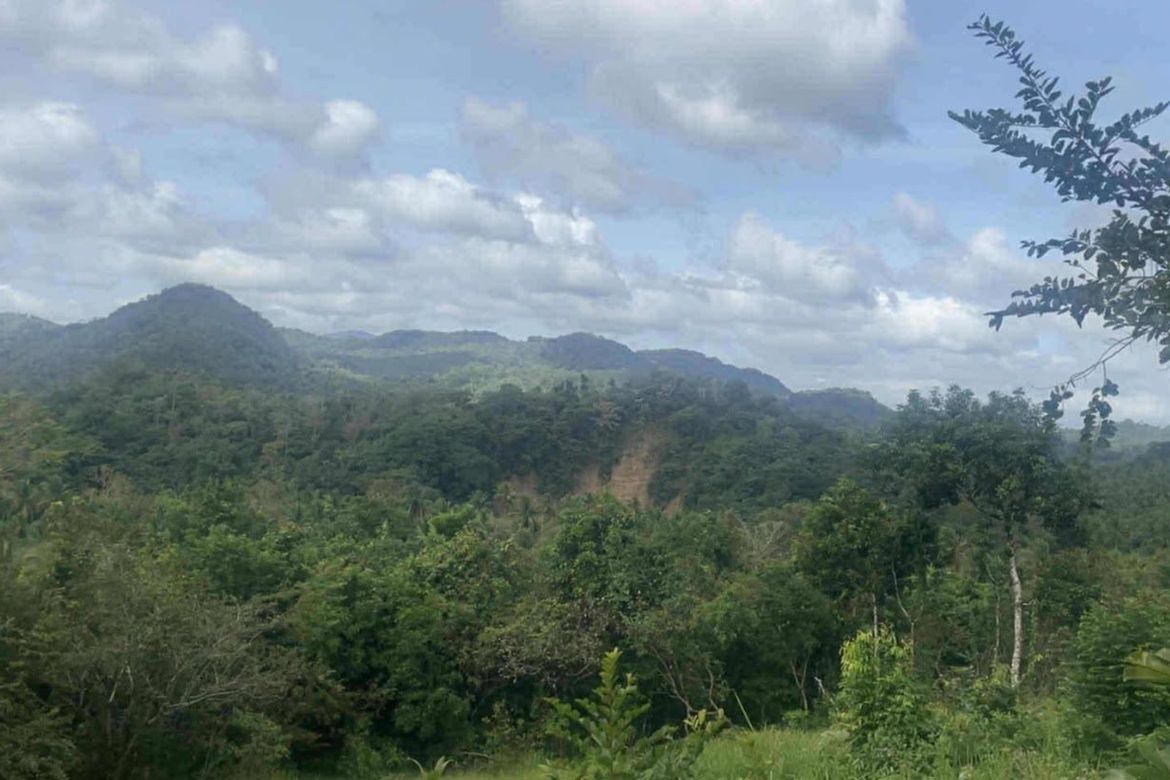 Land for Sale in Bayawang, Rosario, Batangas – photo 3
