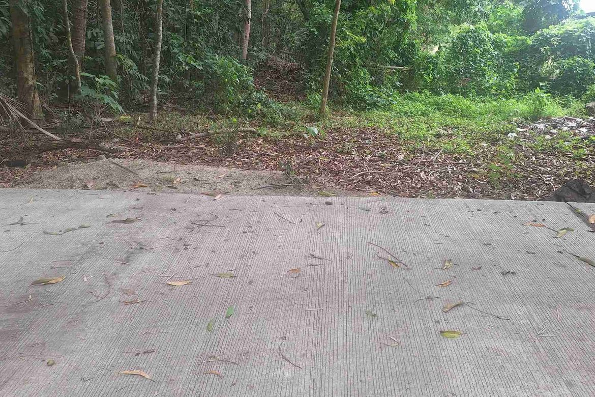 Land for Sale in Bayawang, Rosario, Batangas – photo 2