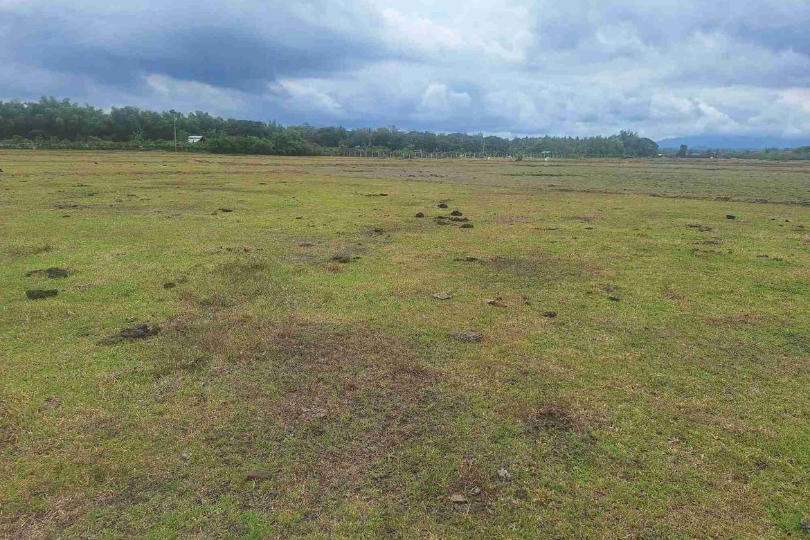 Land for Sale in Bayawang, Rosario, Batangas – photo 3