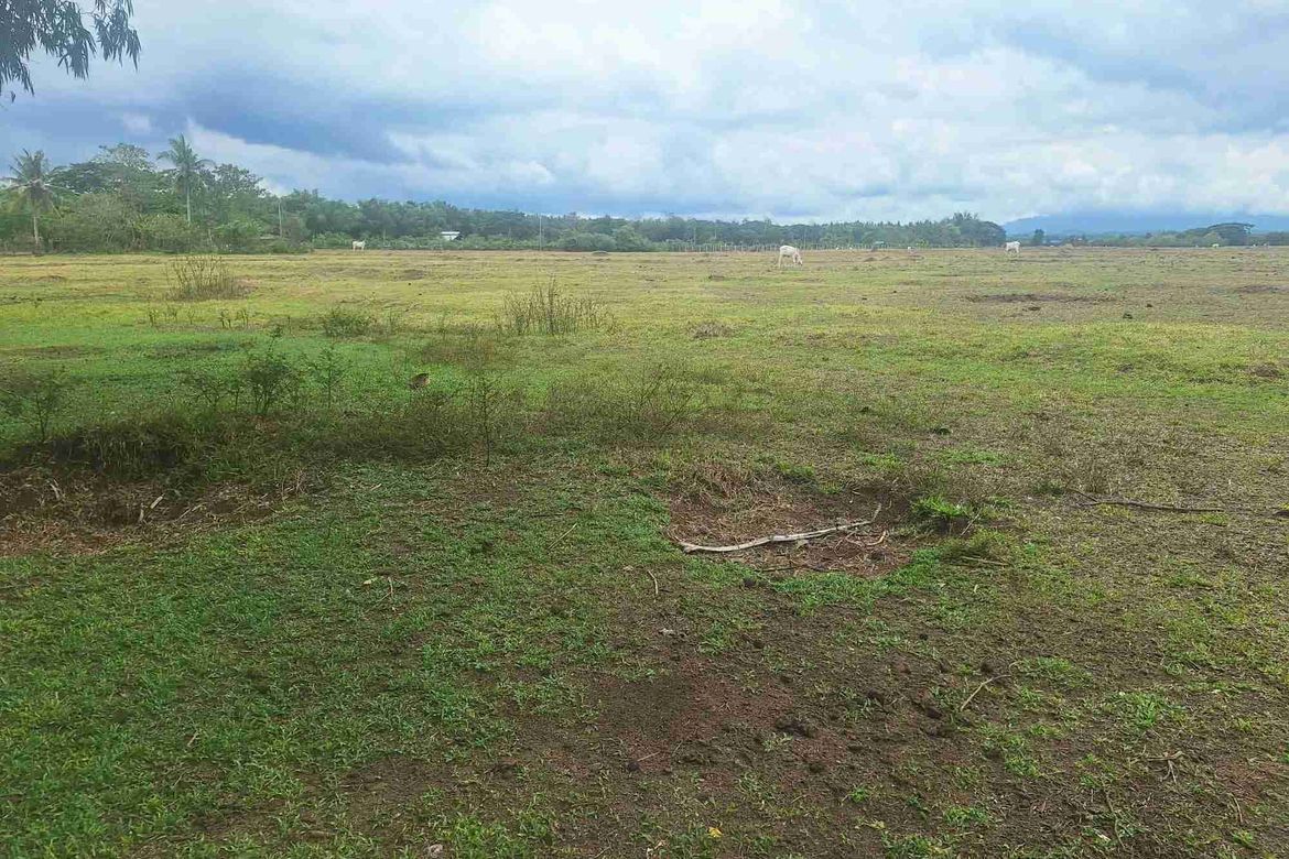Land for Sale in Bayawang, Rosario, Batangas – photo 5