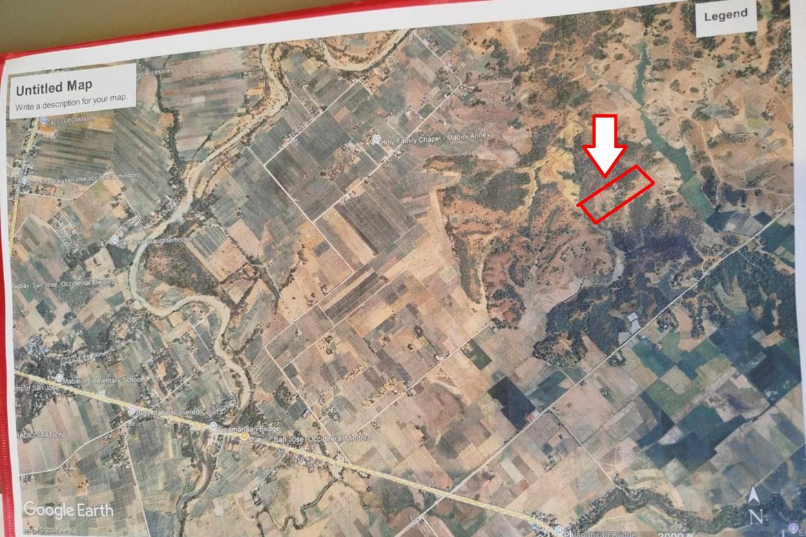Land for Sale in Bayotbot, San Jose, Occidental Mindoro – photo 4