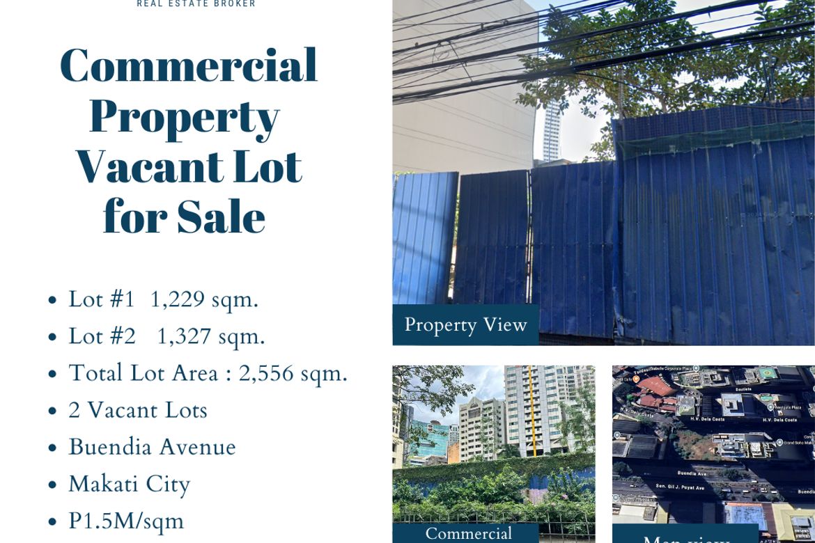 Land for Sale in Bel-Air, Makati, Metro Manila