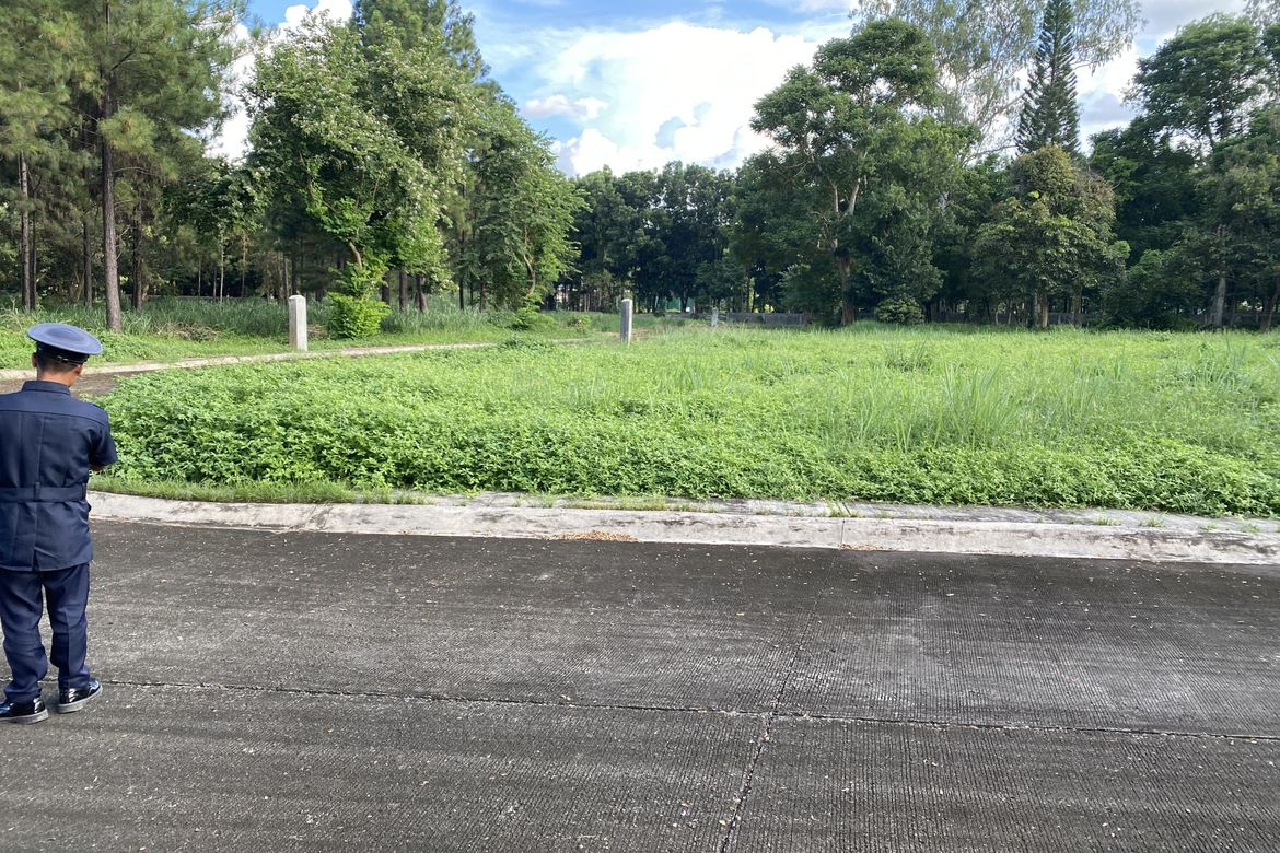 Land for Sale in Belle Reve, Santo Domingo, Santa Rosa, Laguna – photo 2