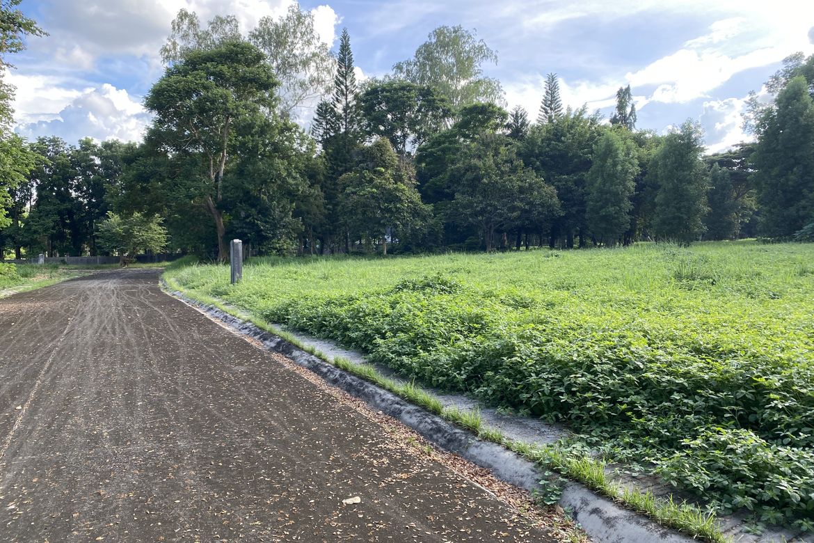 Land for Sale in Belle Reve, Santo Domingo, Santa Rosa, Laguna – photo 3