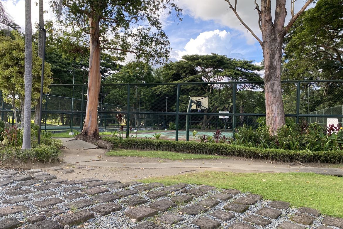 Land for Sale in Belle Reve, Santo Domingo, Santa Rosa, Laguna – photo 6