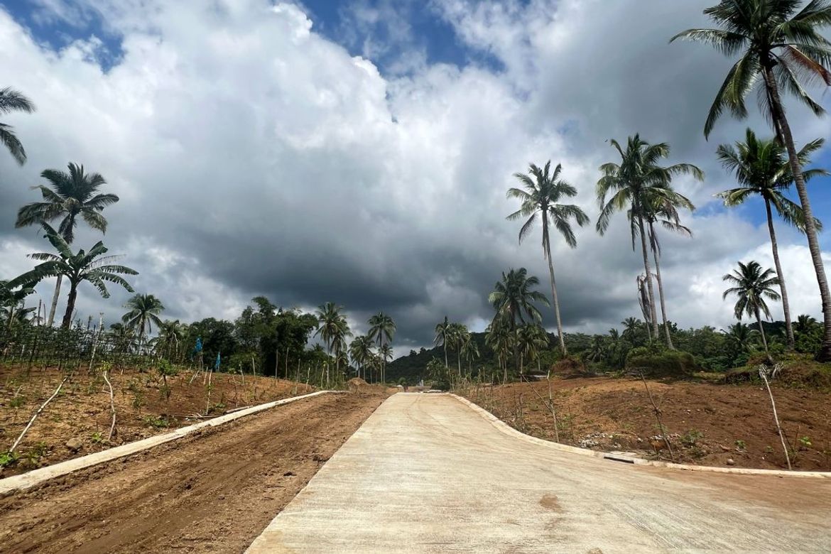 Land for Sale in Bendita I, Magallanes, Cavite