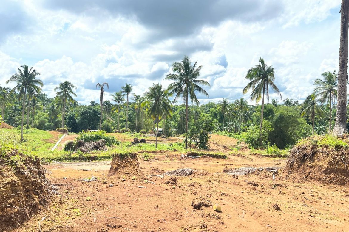 Land for Sale in Bendita I, Magallanes, Cavite – photo 3