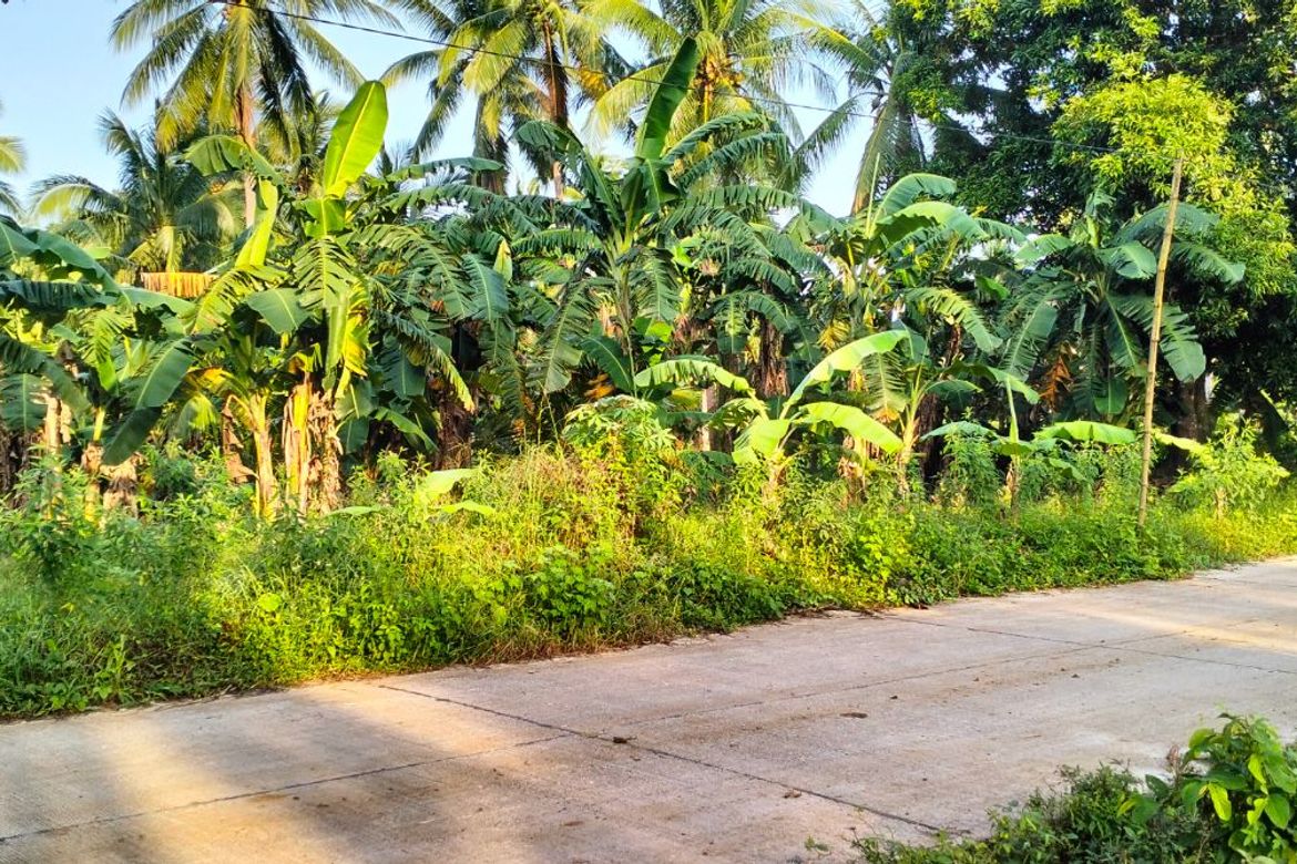 Land for Sale in Bendita I, Magallanes, Cavite – photo 2