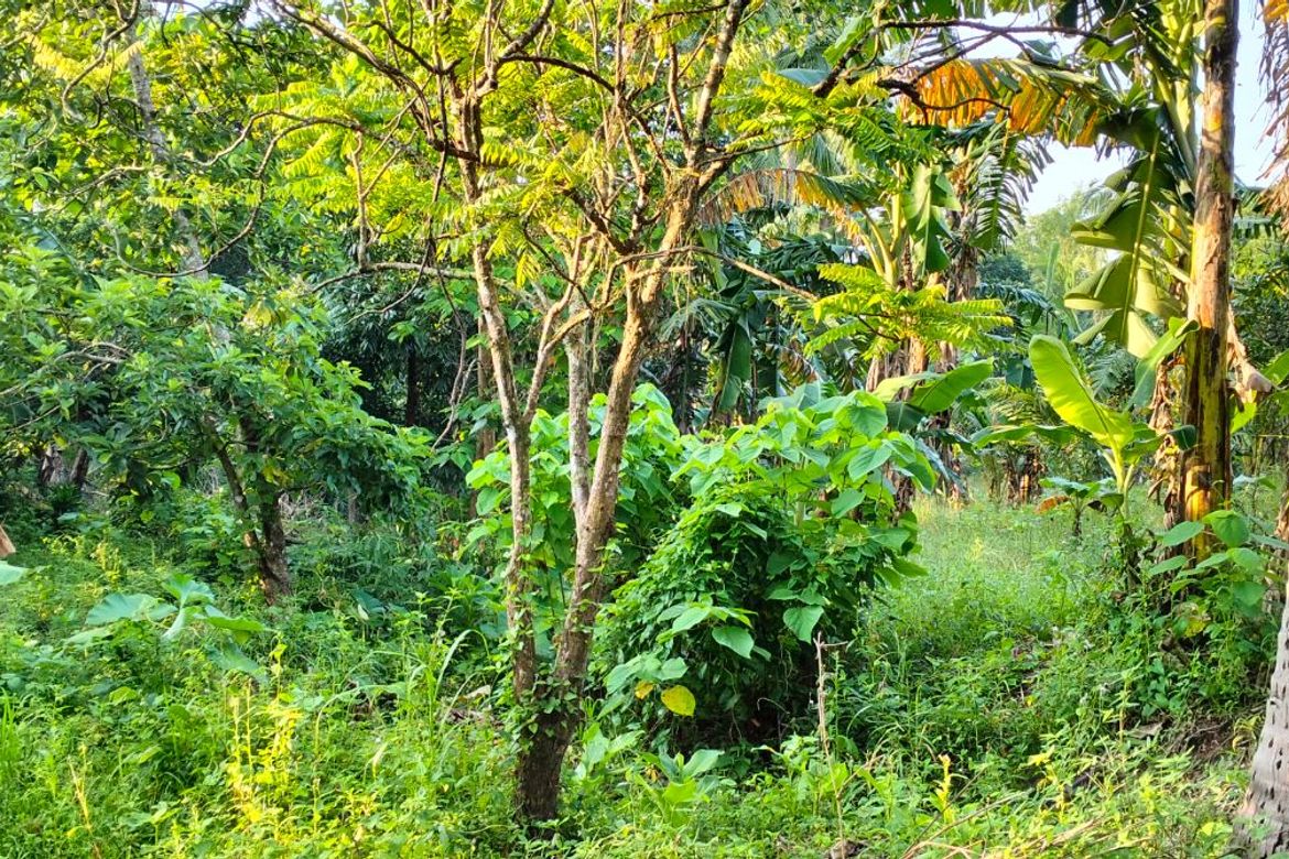 Land for Sale in Bendita I, Magallanes, Cavite – photo 6