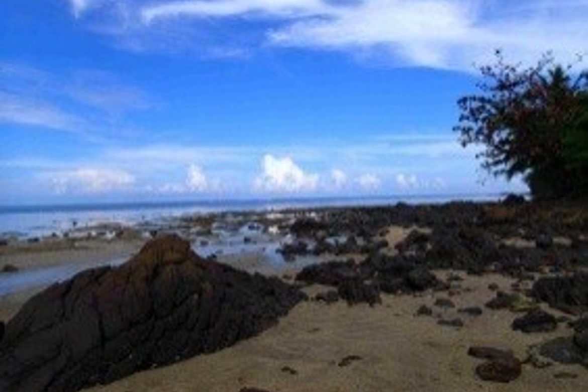Land for Sale in Berong, Quezon, Palawan