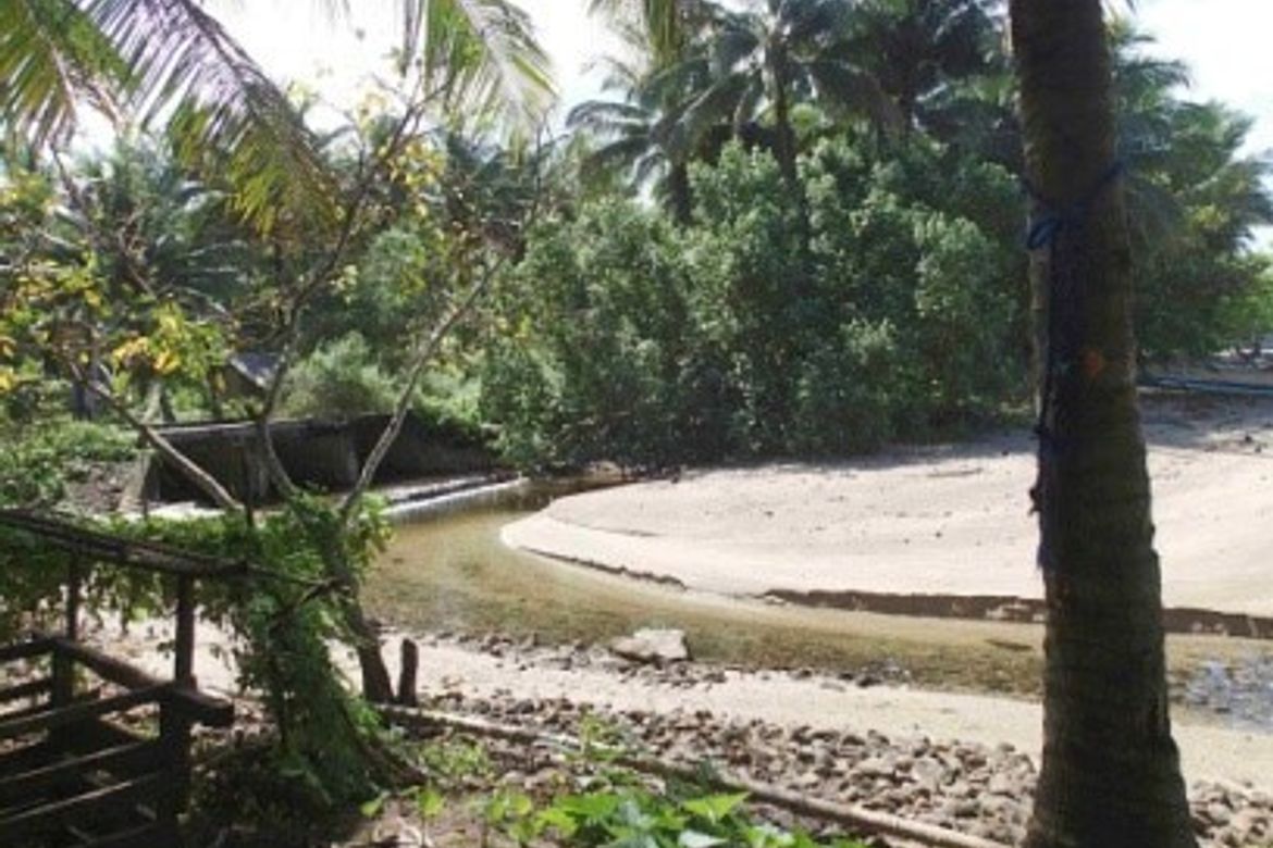 Land for Sale in Berong, Quezon, Palawan – photo 3