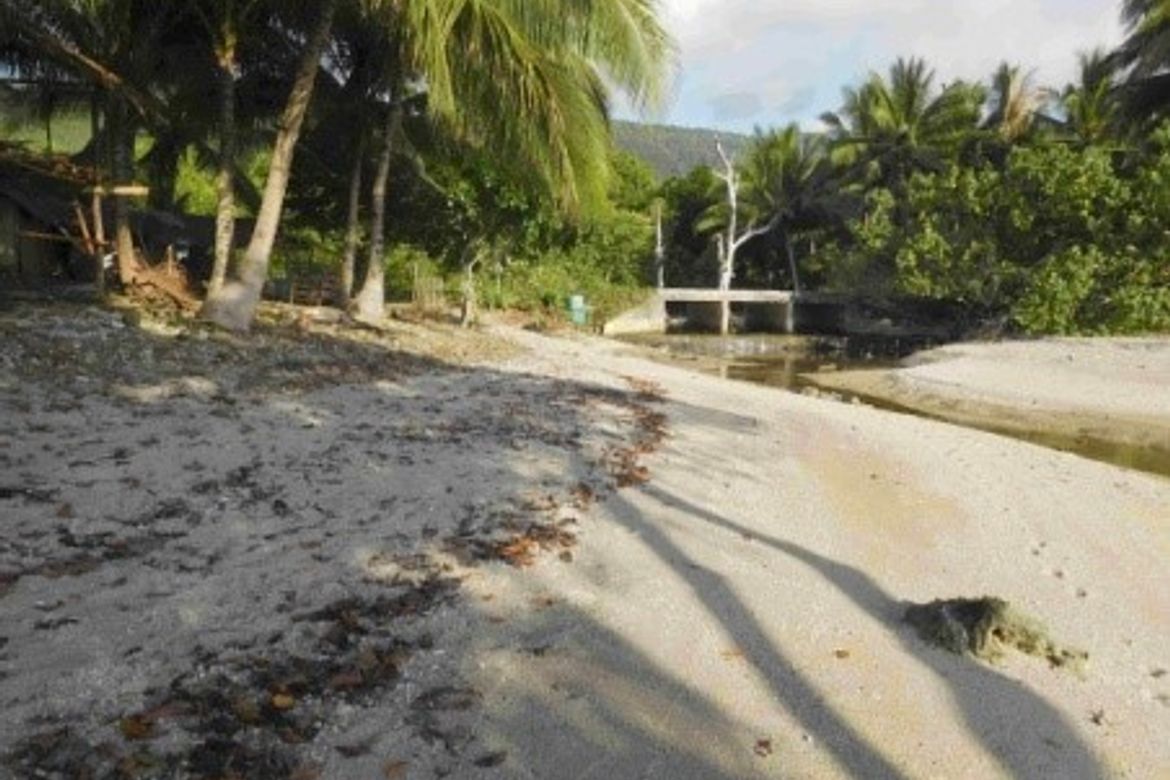 Land for Sale in Berong, Quezon, Palawan – photo 5
