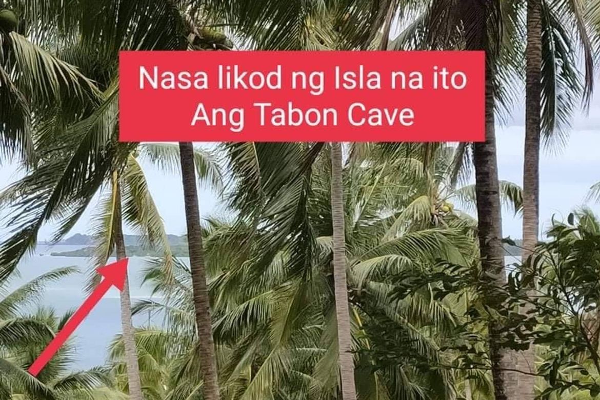 Land for Sale in Berong, Quezon, Palawan – photo 2