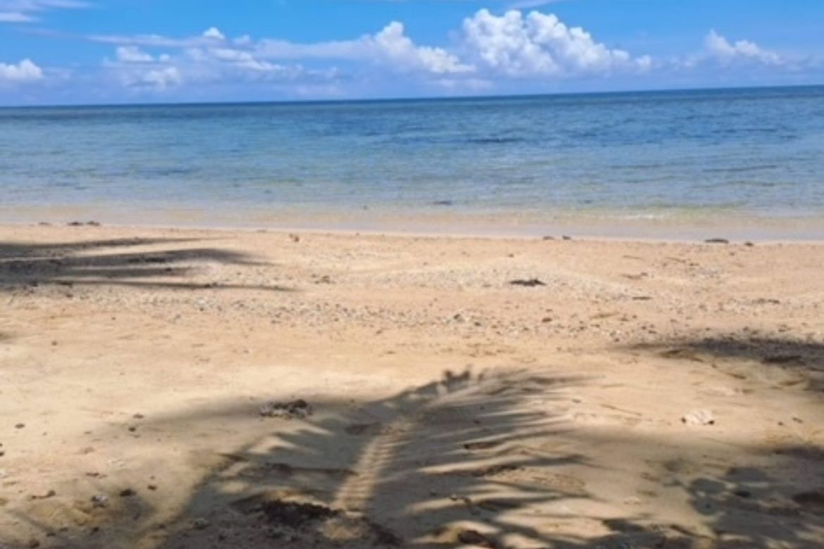 Land for Sale in Berong, Quezon, Palawan – photo 4