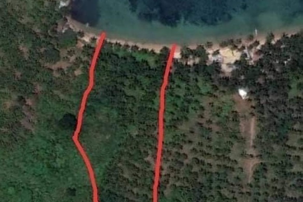 Land for Sale in Berong, Quezon, Palawan – photo 5
