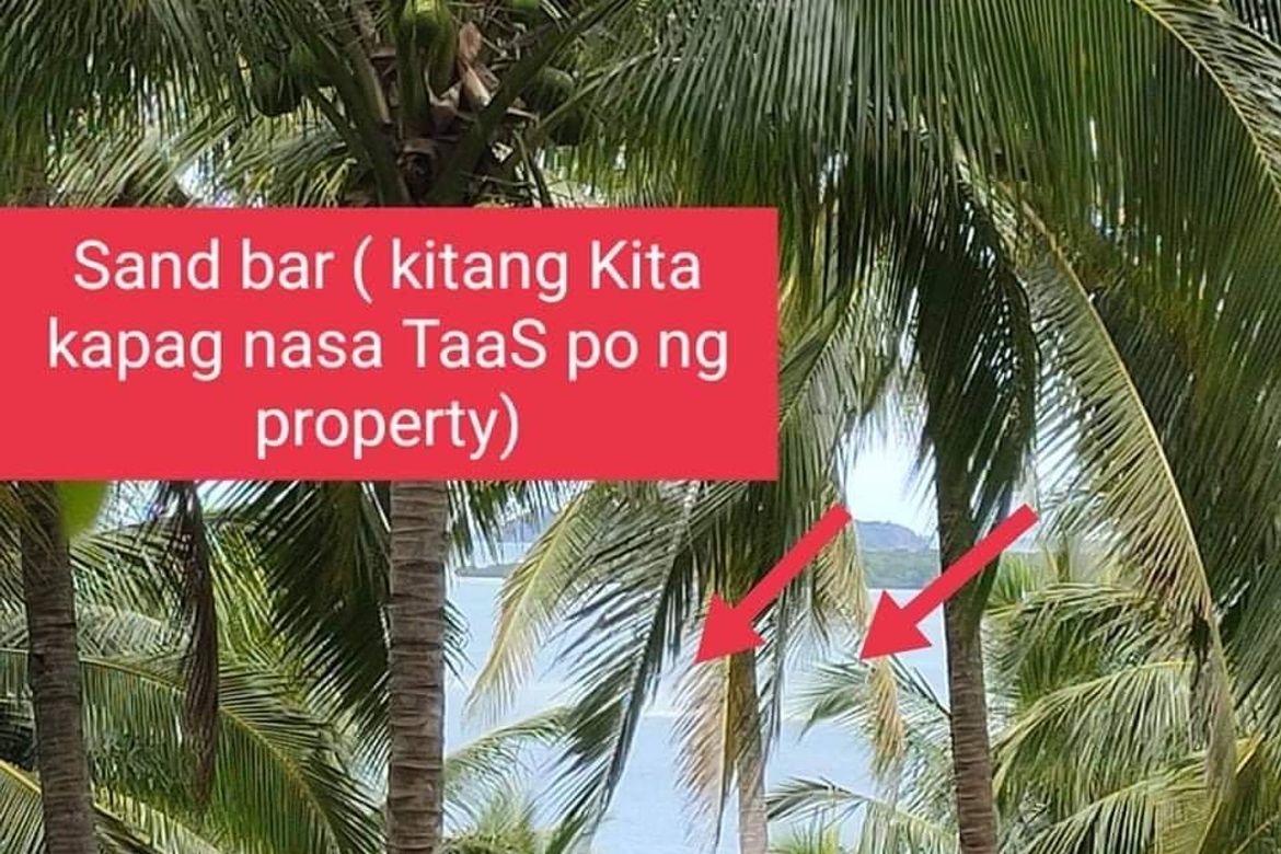 Land for Sale in Berong, Quezon, Palawan – photo 6