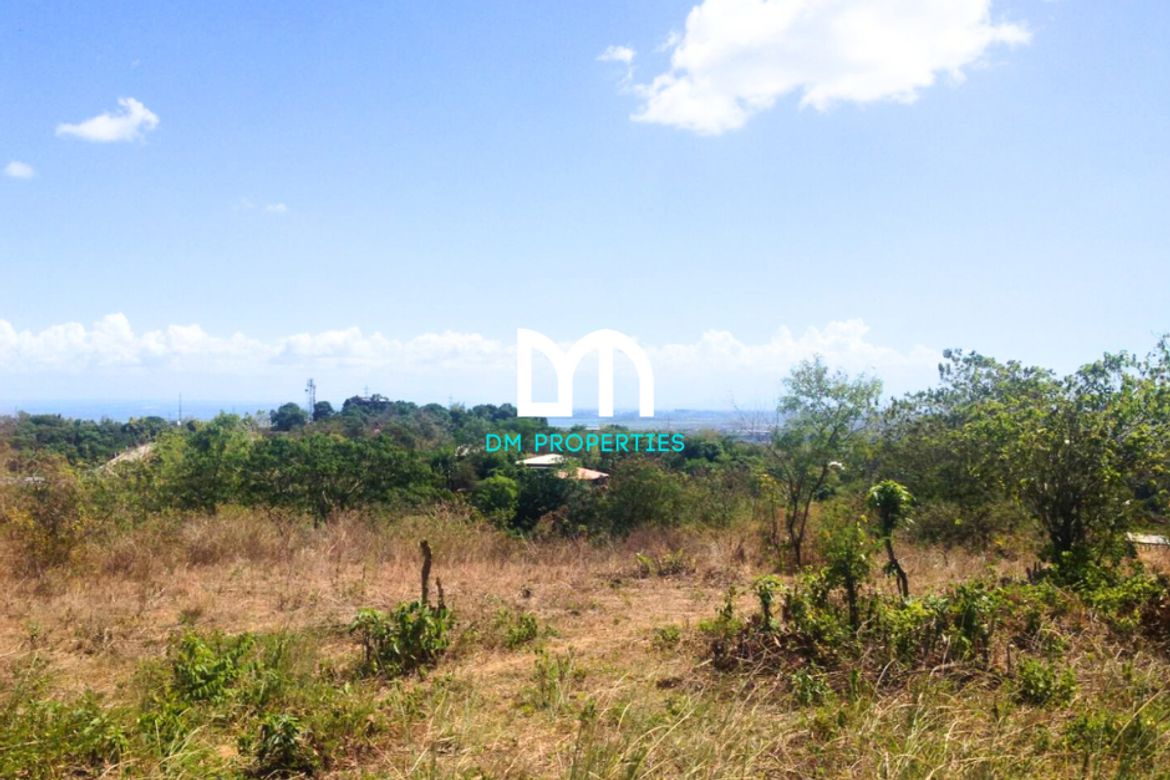 Land for Sale in Beverly Hills, Antipolo, Rizal – photo 3
