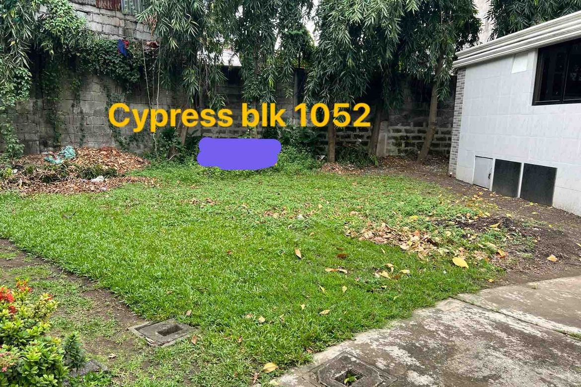 Land for Sale in BF Homes, Parañaque, Metro Manila – photo 3
