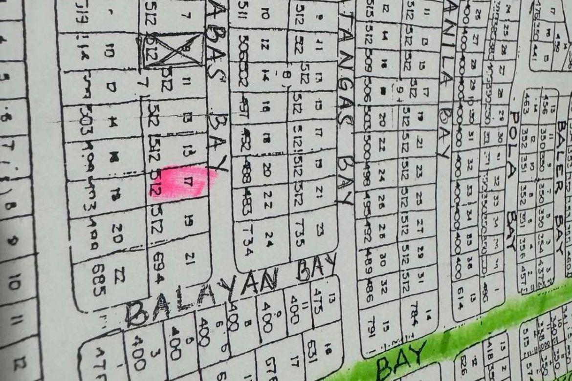 Land for Sale in BF Homes, Parañaque, Metro Manila – photo 3
