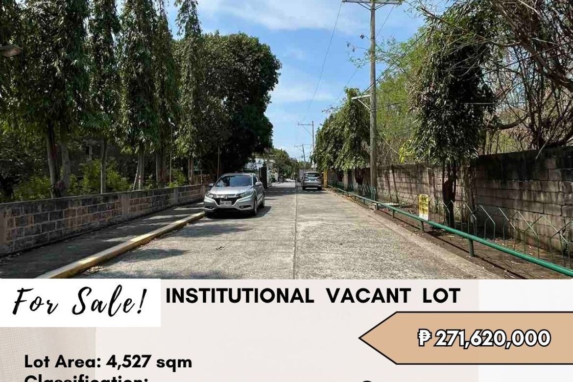 Land for Sale in BF Homes, Parañaque, Metro Manila