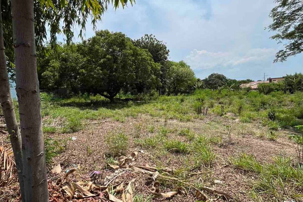 Land for Sale in BF Homes, Parañaque, Metro Manila – photo 2