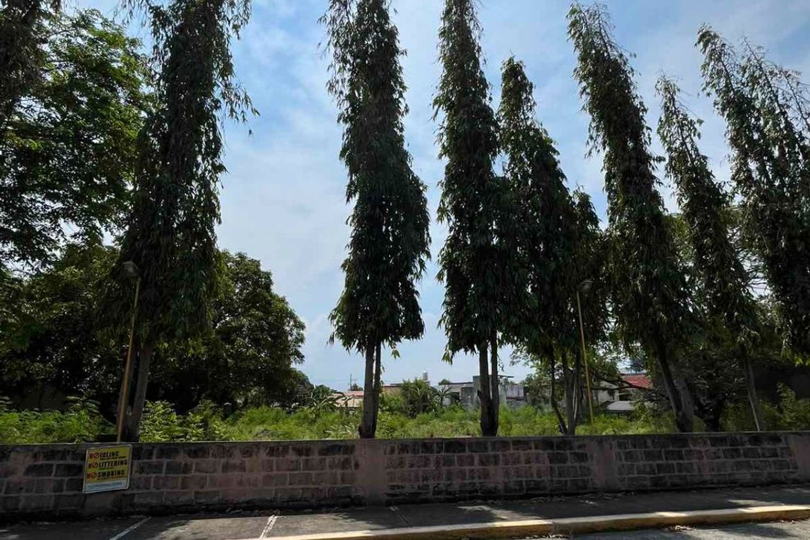 Land for Sale in BF Homes, Parañaque, Metro Manila – photo 4