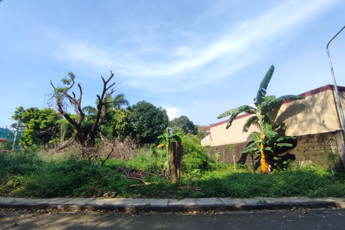 Land for Sale in BF Homes, Parañaque, Metro Manila