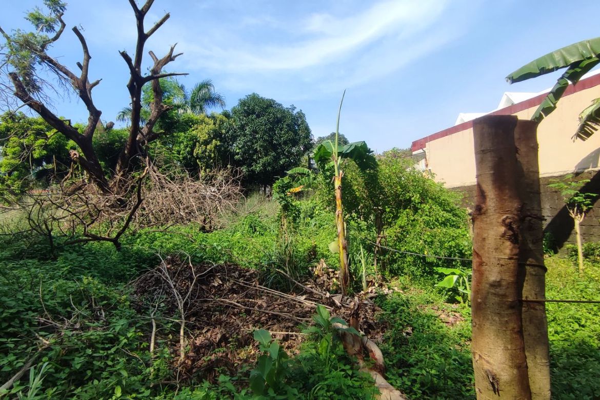 Land for Sale in BF Homes, Parañaque, Metro Manila – photo 3