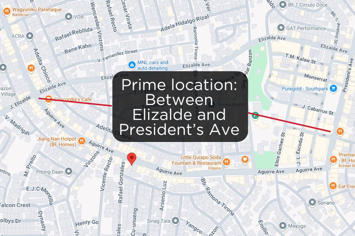 Land for Sale in BF Homes, Parañaque, Metro Manila – photo 3