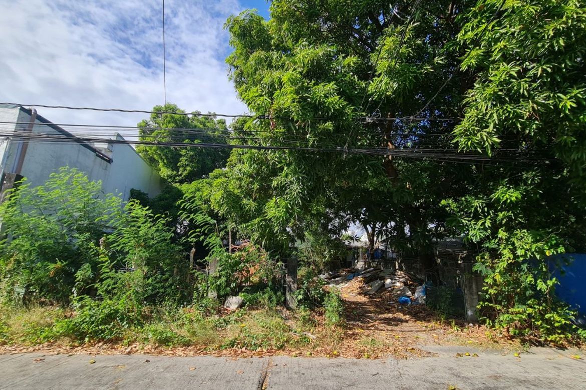 Land for Sale in BF Homes, Parañaque, Metro Manila – photo 2