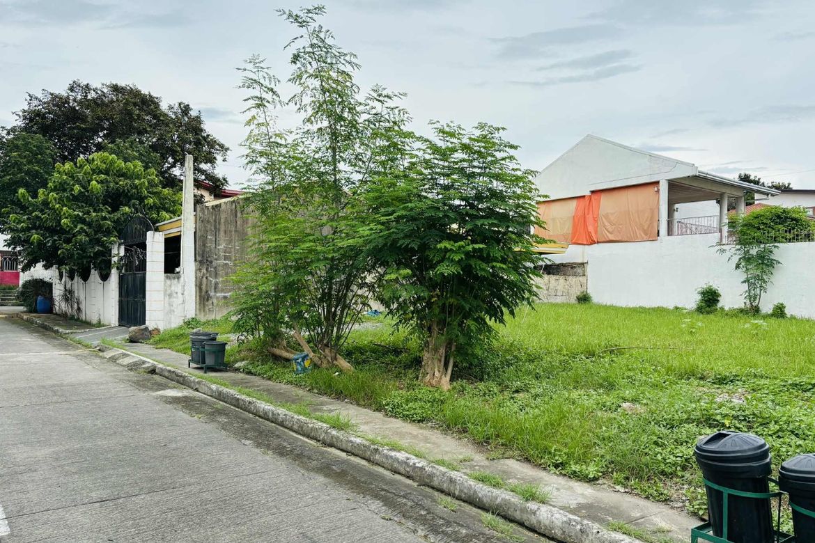 Land for Sale in BF Homes, Parañaque, Metro Manila