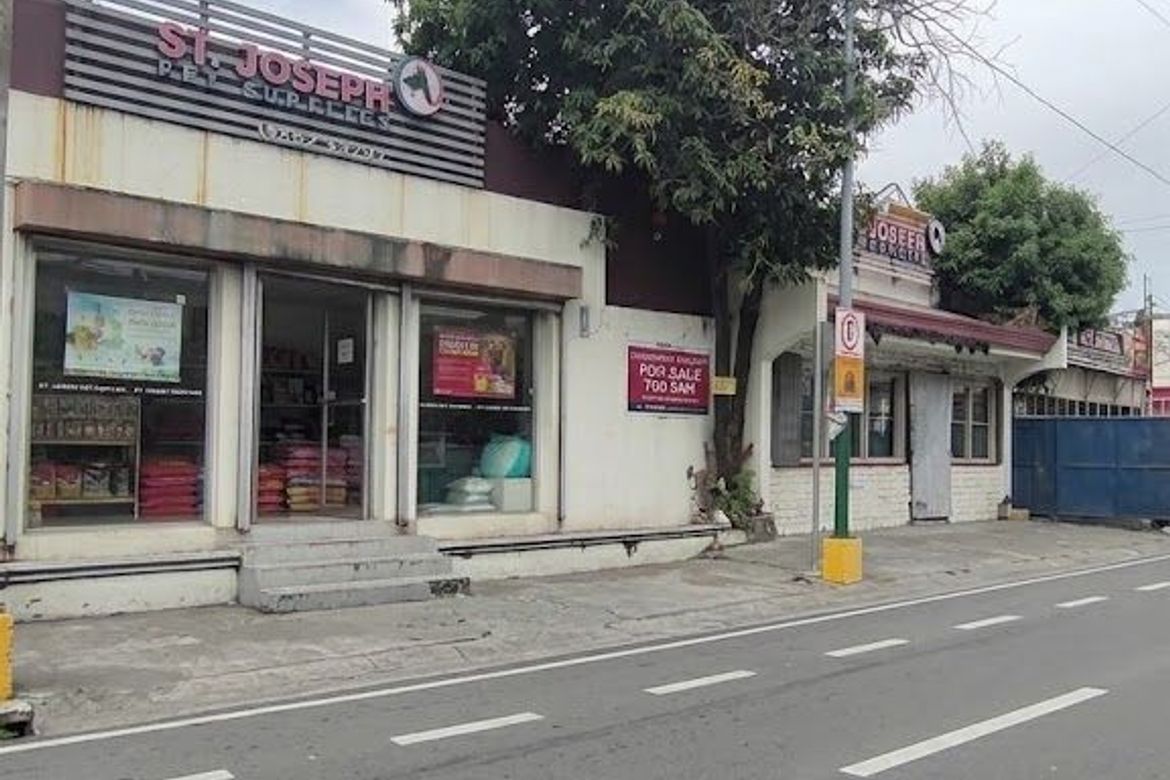 Land for Sale in BF Homes, Parañaque, Metro Manila – photo 7