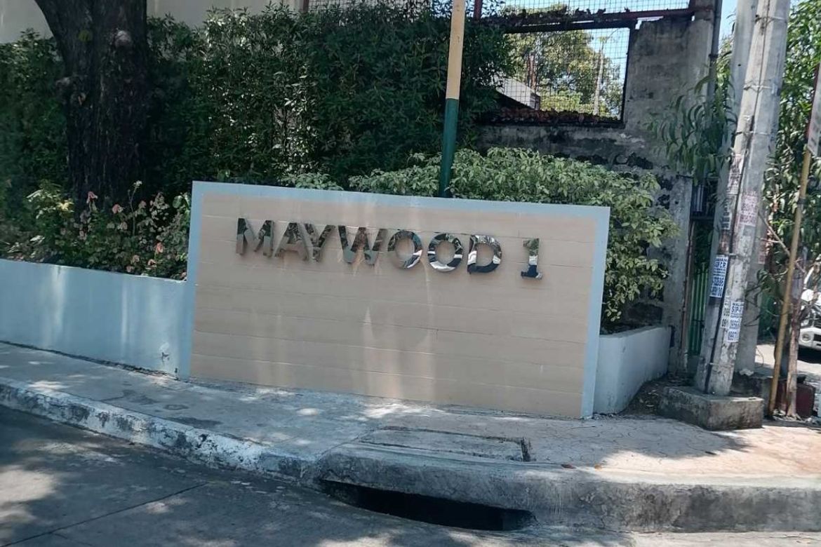 Land for Sale in BF Homes, Parañaque, Metro Manila – photo 3