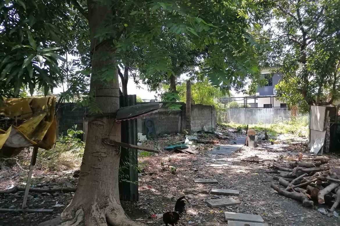 Land for Sale in BF Homes, Parañaque, Metro Manila – photo 7