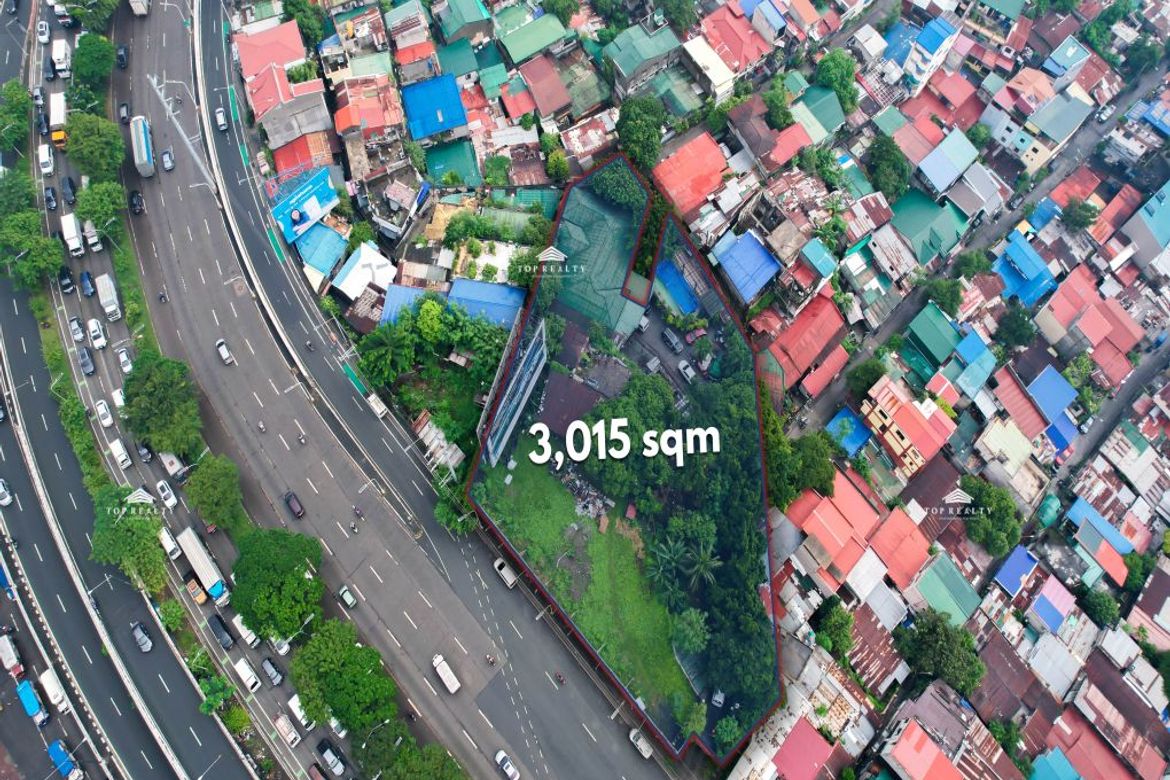 Land for Sale in BGC, Taguig, Metro Manila – photo 3