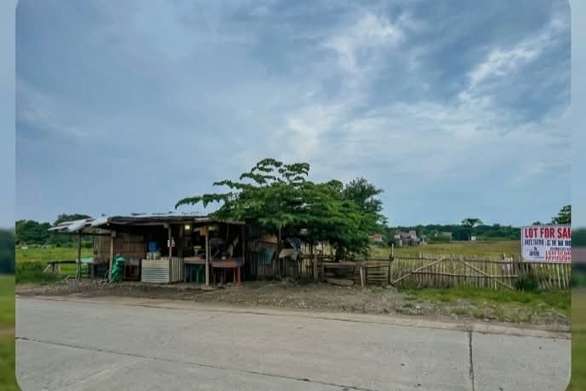 Land for Sale in Bgy. 1 Pob, San Miguel, Iloilo – photo 4