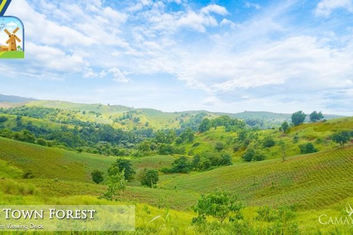 Land for Sale in Biaan, Mariveles, Bataan – photo 5
