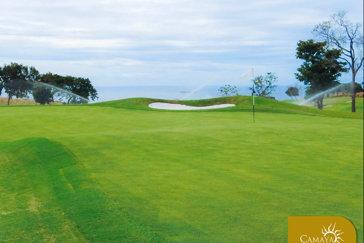 Land for Sale in Biaan, Mariveles, Bataan – photo 3