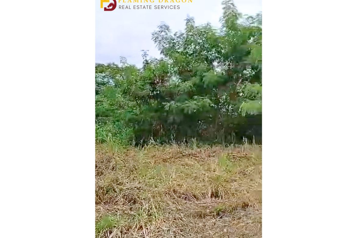 Land for Sale in Biaan, Mariveles, Bataan – photo 3