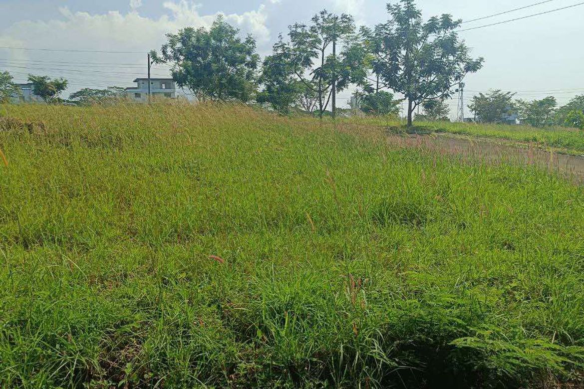 Land for Sale in Biaan, Mariveles, Bataan – photo 3
