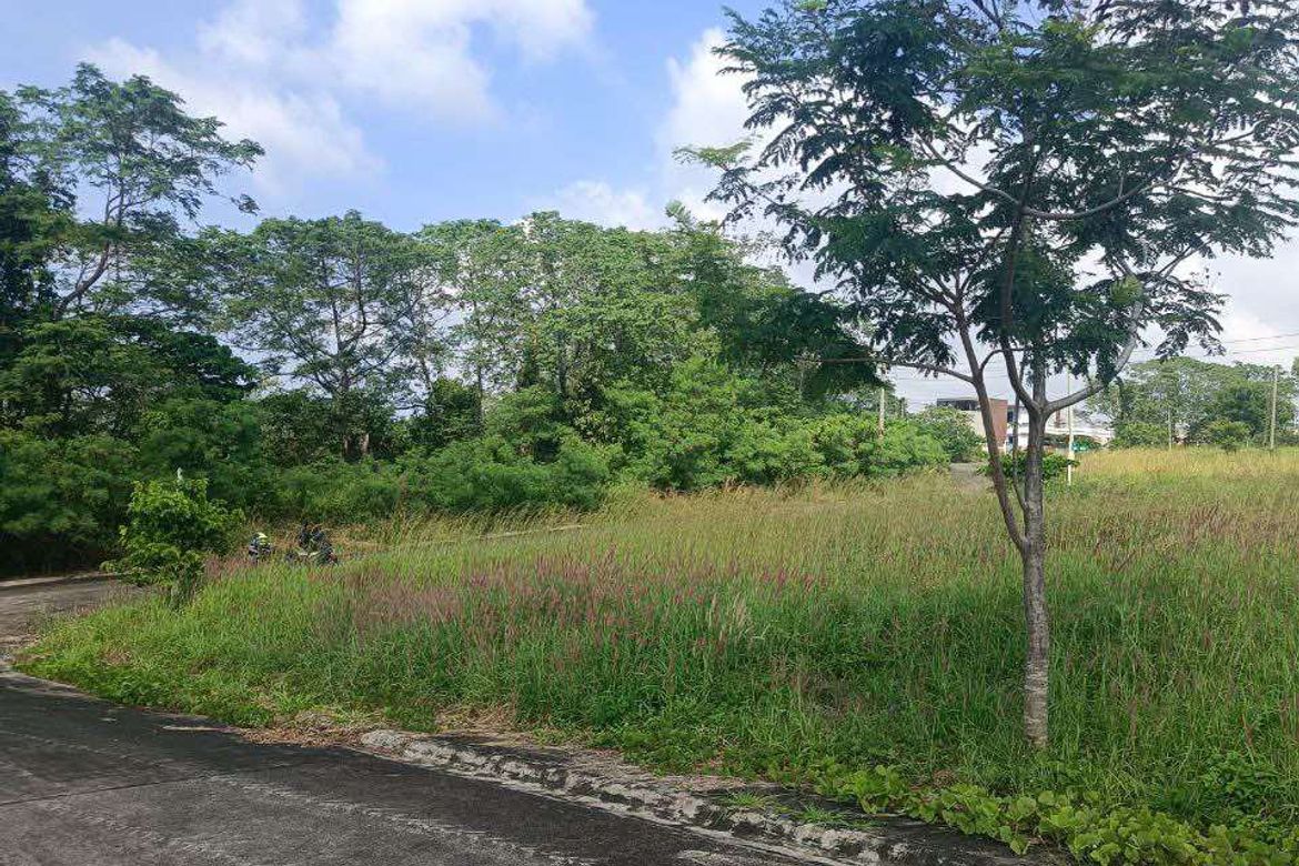 Land for Sale in Biaan, Mariveles, Bataan – photo 6