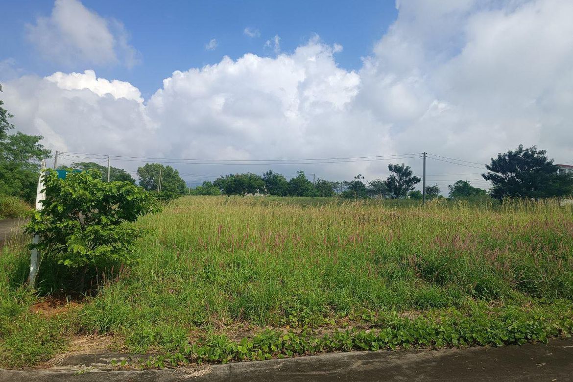 Land for Sale in Biaan, Mariveles, Bataan – photo 8