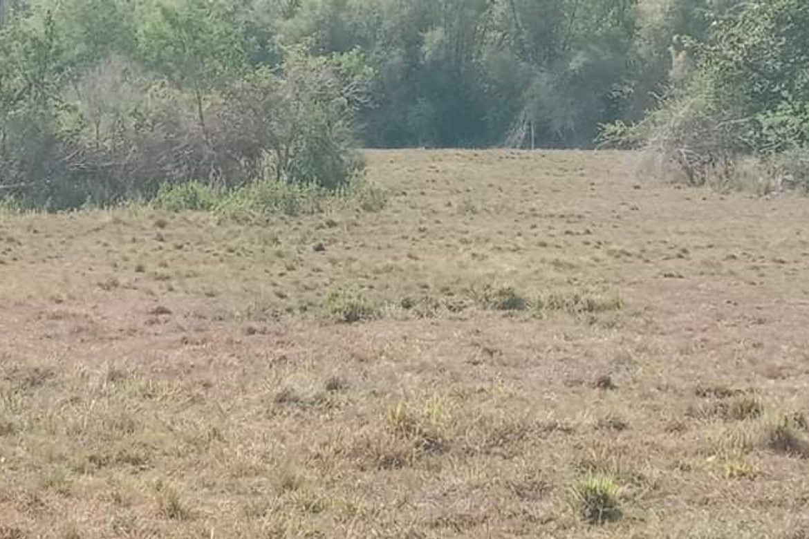 Land for Sale in Biak-Na-Bato, San Miguel, Bulacan – photo 2