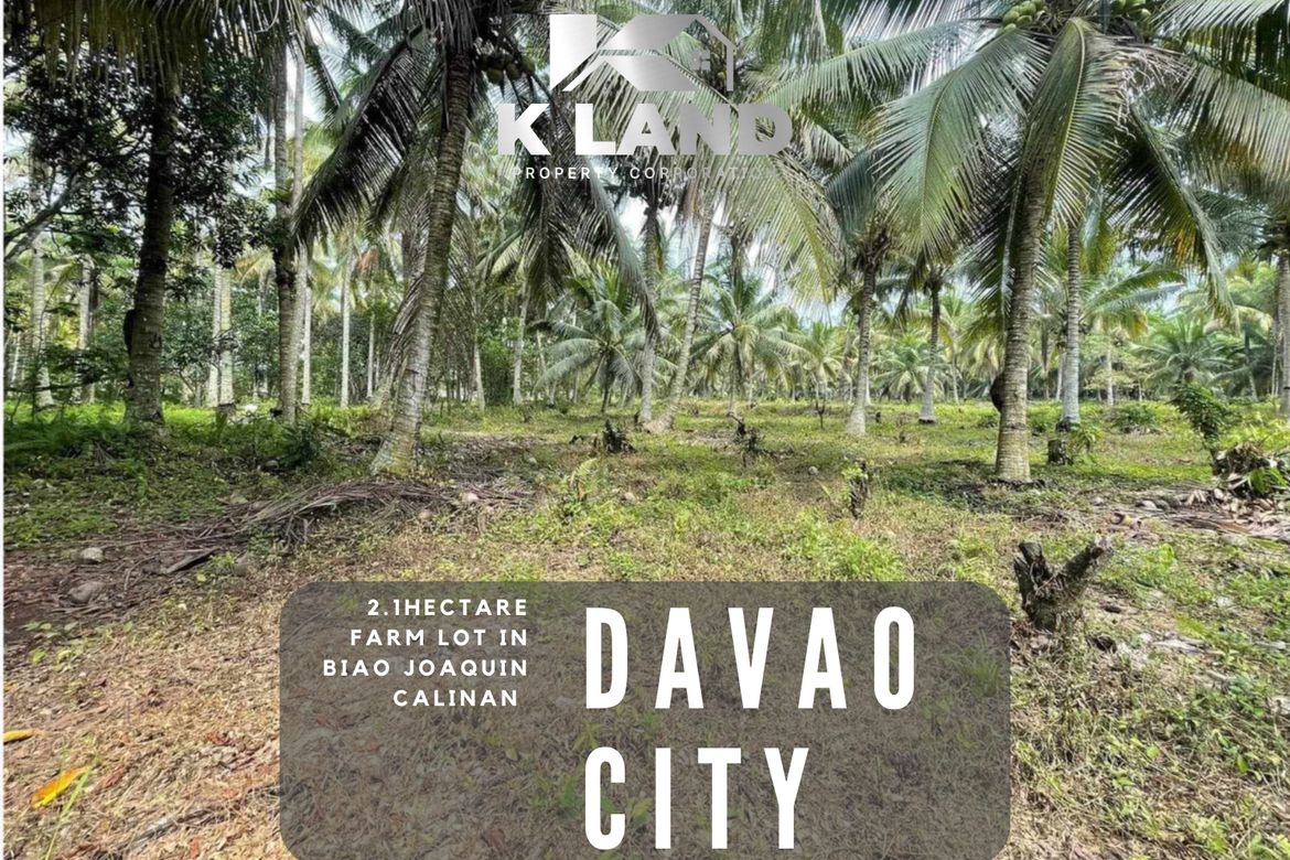 Land for Sale in Biao Joaquin, Davao City, Davao del Sur