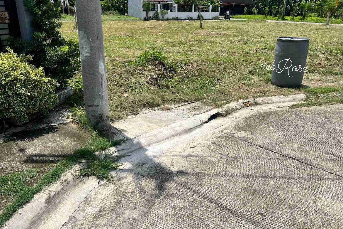 Land for Sale in Biasong, Talisay, Cebu – photo 2